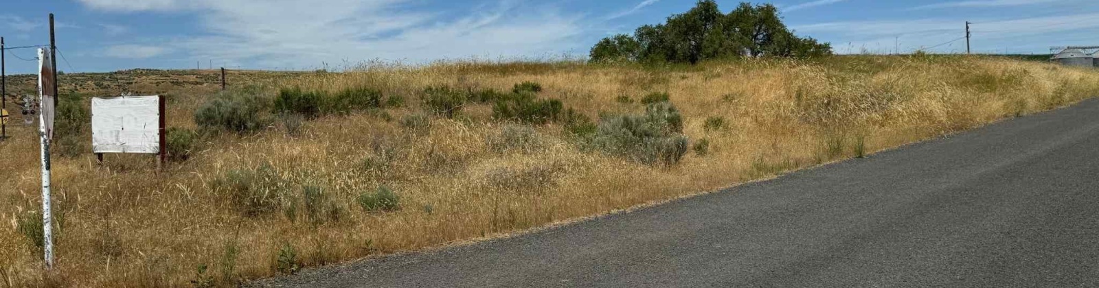 1st & Manton Way, Mesa, Washington 99343, ,Agricultural,For Sale,1st & Manton Way,284974