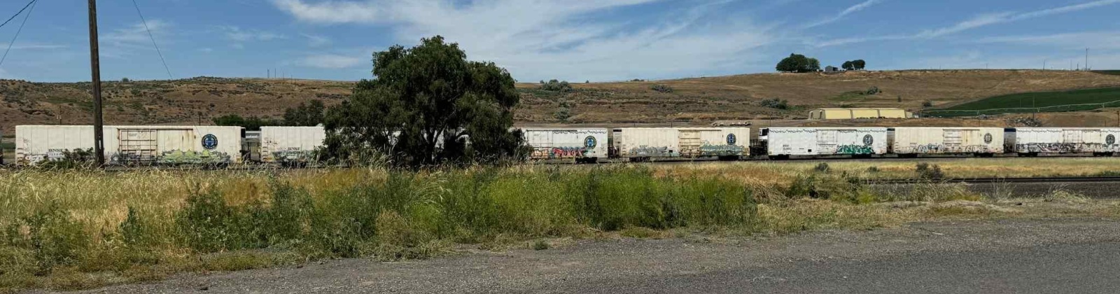 1st & Manton Way, Mesa, Washington 99343, ,Agricultural,For Sale,1st & Manton Way,284974