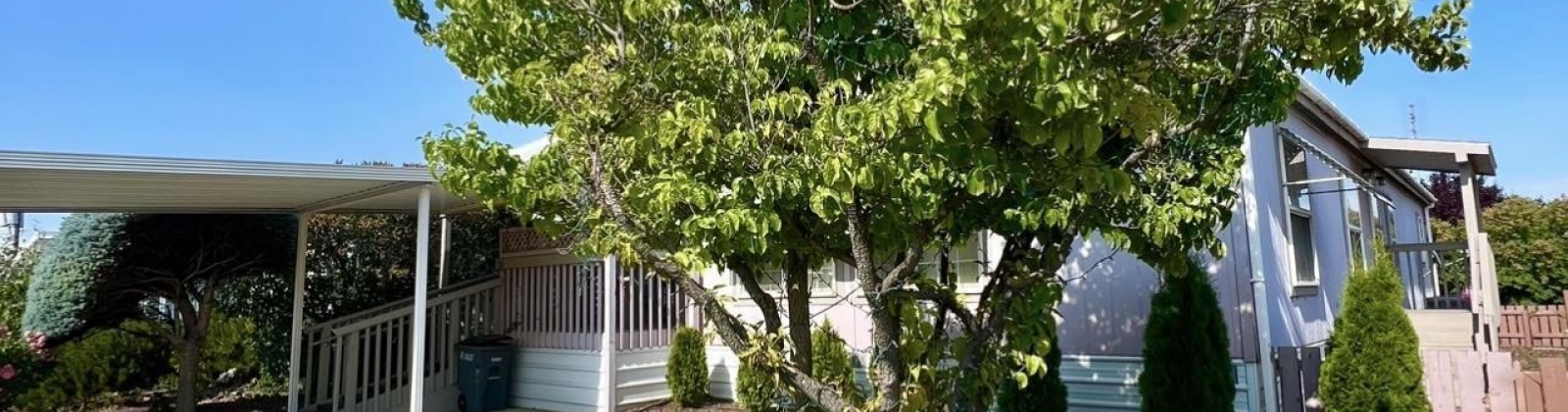 5th st, Sunnyside, Washington 98944, 3 Bedrooms Bedrooms, ,2 BathroomsBathrooms,For Sale,5th st,285014