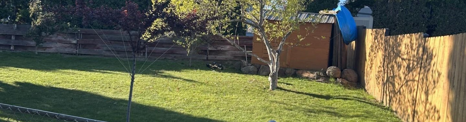 Grandview Avenue, Sunnyside, Washington 98944, 3 Bedrooms Bedrooms, ,2 BathroomsBathrooms,Site Built-owned Lot,For Sale,Grandview Avenue,281247