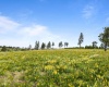 Reservoir Ln, Pomeroy, Washington 99347, 2 Bedrooms Bedrooms, ,1 BathroomBathrooms,Site Built-owned Lot,For Sale,Reservoir Ln,284994