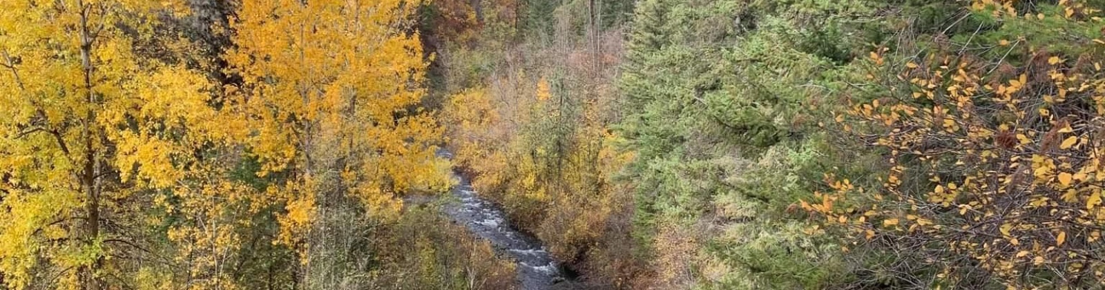 Reservoir Ln, Pomeroy, Washington 99347, 2 Bedrooms Bedrooms, ,1 BathroomBathrooms,Site Built-owned Lot,For Sale,Reservoir Ln,284994