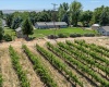 Clover Road, Kennewick, Washington 99338, 3 Bedrooms Bedrooms, ,2 BathroomsBathrooms,Site Built-owned Lot,For Sale,Clover Road,284991