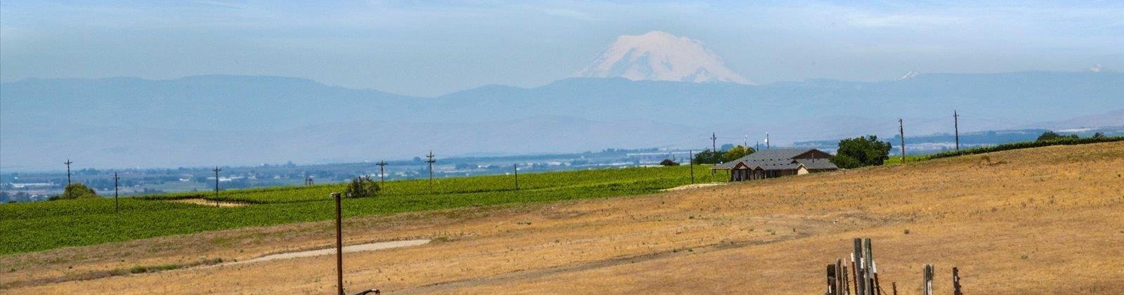 Olsen Road, Grandview, Washington 98930, 4 Bedrooms Bedrooms, ,5 BathroomsBathrooms,For Sale,Olsen Road,284996