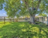 Travis Lane, Kennewick, Washington 99338, 4 Bedrooms Bedrooms, ,3 BathroomsBathrooms,Site Built-owned Lot,For Rent,Travis Lane,285016