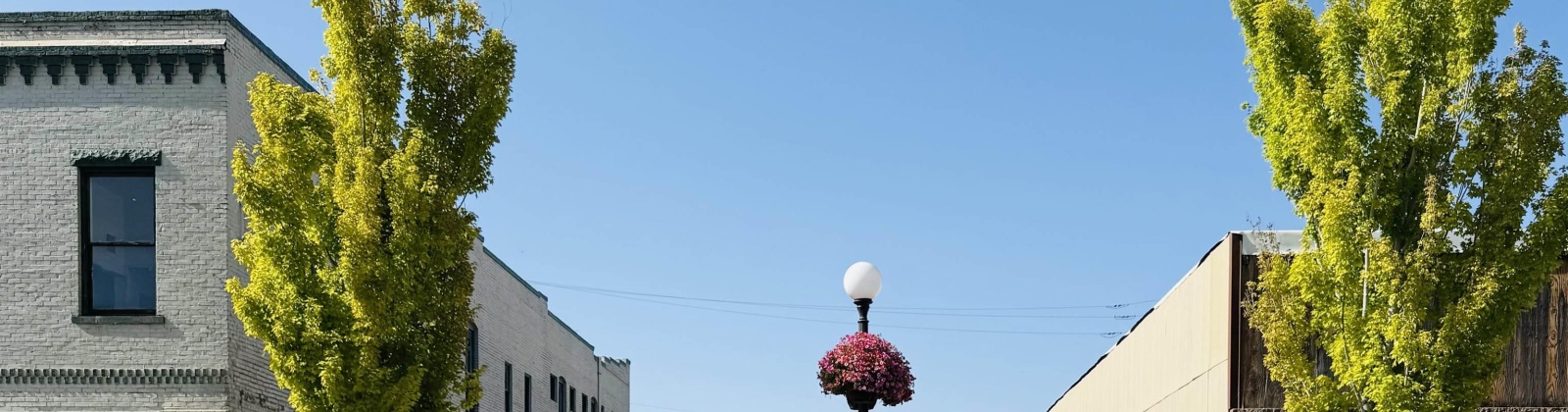 Edison Ave., Sunnyside, Washington 98944, ,Commercial,For Sale,Edison Ave.,285123