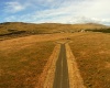 Hansen Rd, Prosser, Washington 99350, ,Residential,For Sale,Hansen Rd,281316