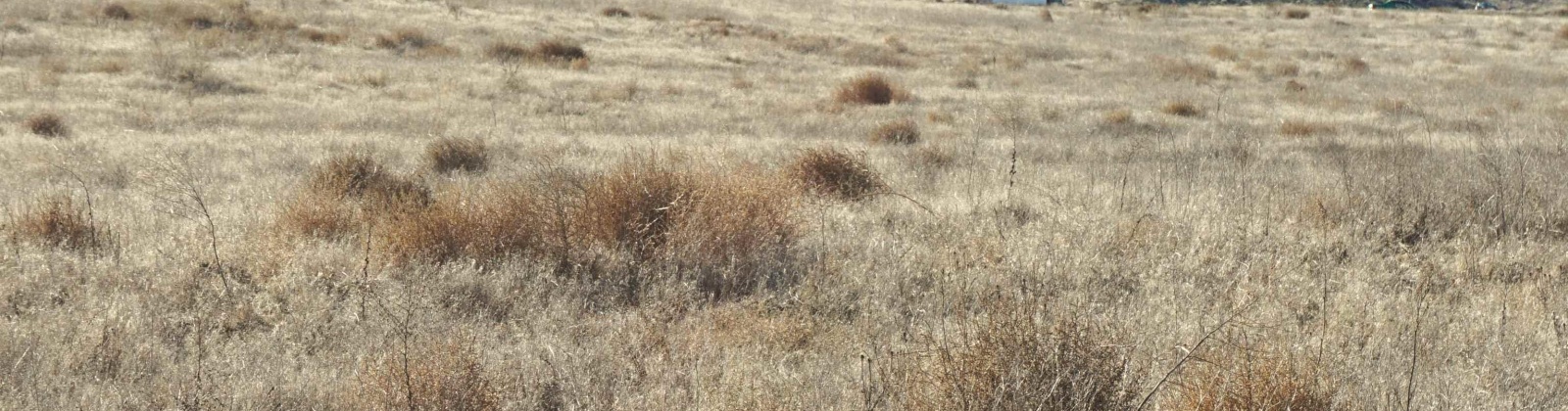 Hansen Rd, Prosser, Washington 99350, ,Residential,For Sale,Hansen Rd,281316