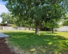 Robin Ct, West Richland, Washington 99353, 3 Bedrooms Bedrooms, ,1 BathroomBathrooms,For Sale,Robin Ct,285151
