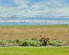 Clodfelter Rd, Kennewick, Washington 99338, 4 Bedrooms Bedrooms, ,3 BathroomsBathrooms,Site Built-owned Lot,For Sale,Clodfelter Rd,285210