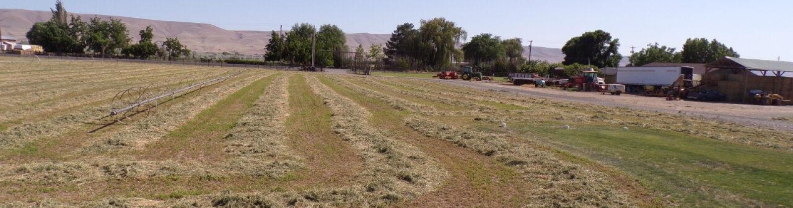 Johnson Rd, Prosser, Washington 99350, 3 Bedrooms Bedrooms, ,2 BathroomsBathrooms,Site Built-owned Lot,For Sale,Johnson Rd,285229