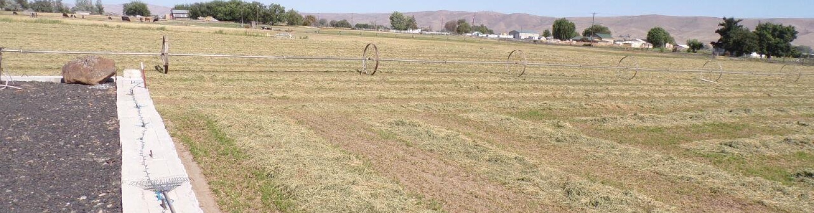 Johnson Rd, Prosser, Washington 99350, 3 Bedrooms Bedrooms, ,2 BathroomsBathrooms,Site Built-owned Lot,For Sale,Johnson Rd,285229