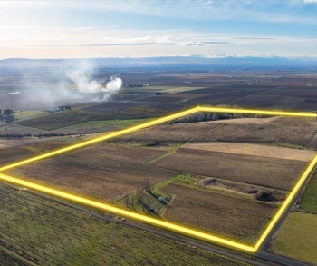 Hinzerling Rd, Prosser, Washington, ,Agricultural,For Sale,Hinzerling Rd,285272