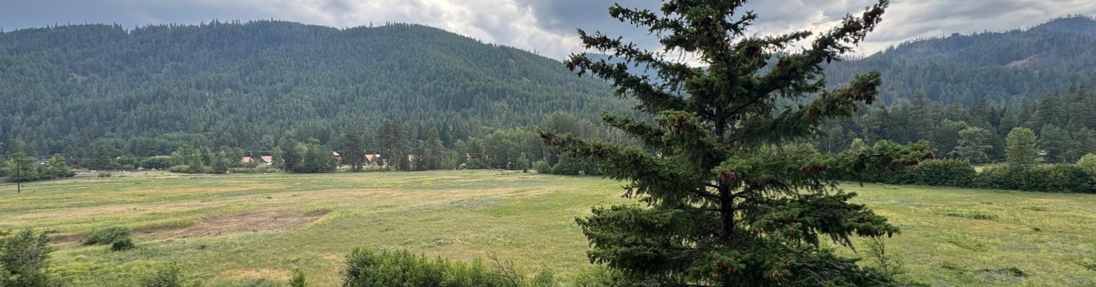 State Route 410, Naches, Washington 98937, ,Houses,For Sale,State Route 410,285321