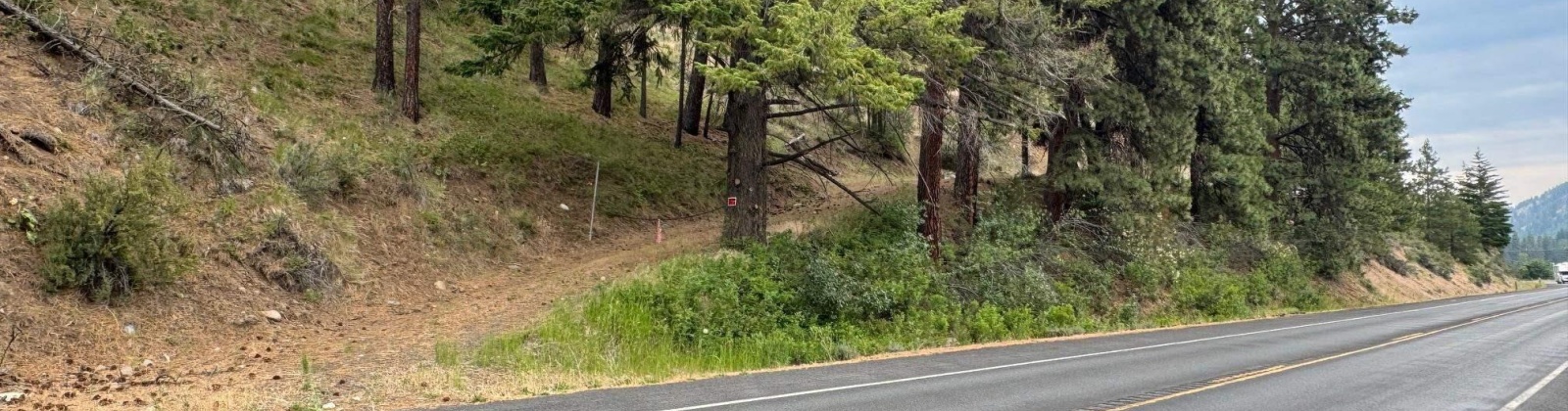 State Route 410, Naches, Washington 98937, ,Houses,For Sale,State Route 410,285321