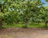 Old Inland Empire HWY, Prosser, Washington 99350, 3 Bedrooms Bedrooms, ,3 BathroomsBathrooms,Manufactured-owned Lot,For Sale,Old Inland Empire HWY,285311