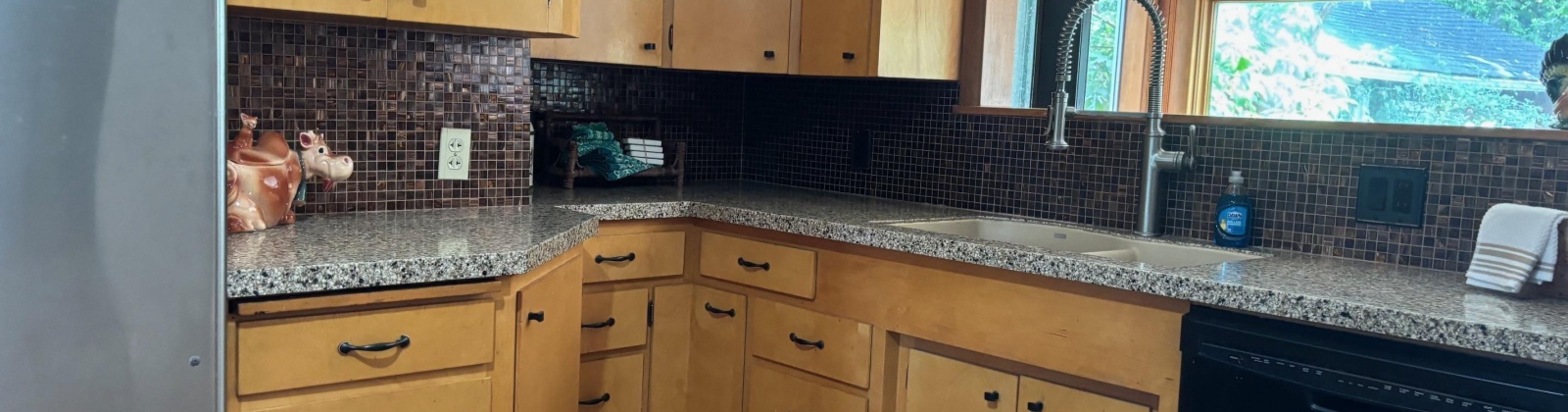 Kamiaken St, Pullman, Washington 99163, 4 Bedrooms Bedrooms, ,3 BathroomsBathrooms,Site Built-owned Lot,For Sale,Kamiaken St,285313
