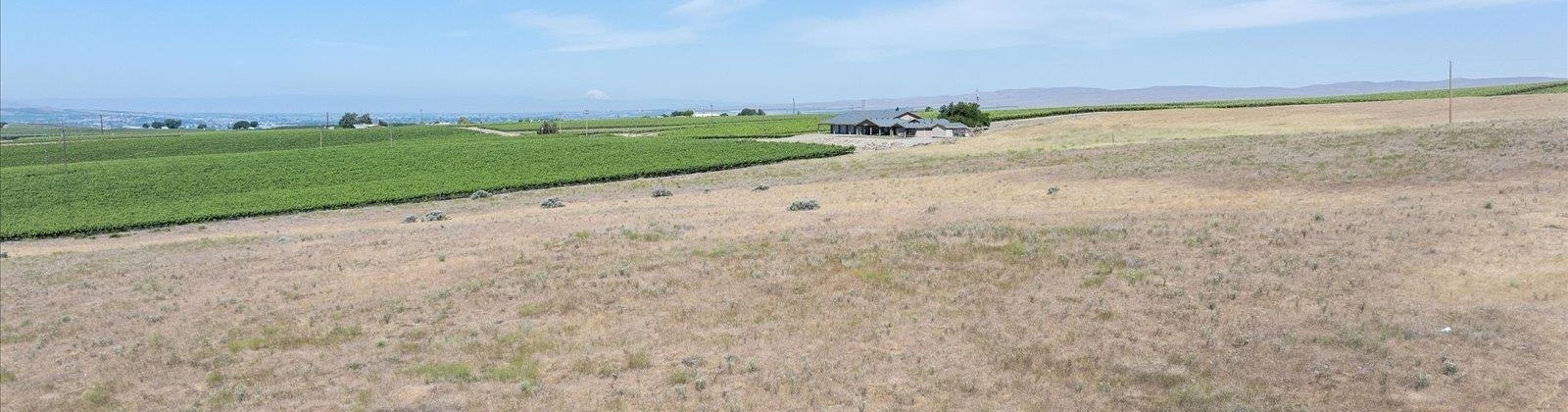 Olsen Road, Grandview, Washington 98930, ,Agricultural,For Sale,Olsen Road,285357