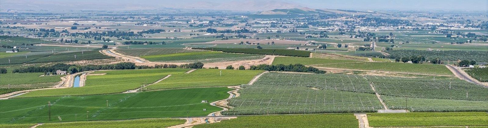 Olsen Road, Grandview, Washington 98930, ,Agricultural,For Sale,Olsen Road,285357