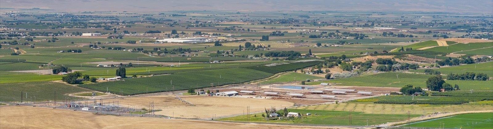 Olsen Road, Grandview, Washington 98930, ,Agricultural,For Sale,Olsen Road,285357