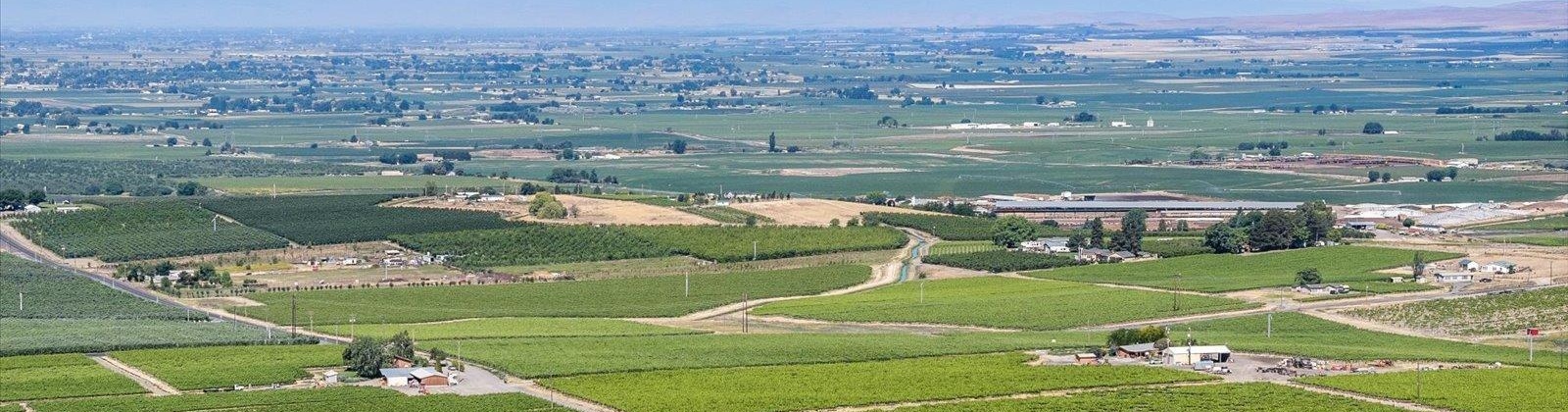 Olsen Road, Grandview, Washington 98930, ,Agricultural,For Sale,Olsen Road,285357