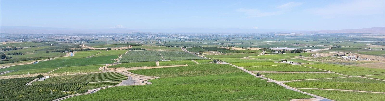 Olsen Road, Grandview, Washington 98930, ,Agricultural,For Sale,Olsen Road,285357
