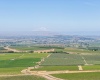 Olsen Road, Grandview, Washington 98930, ,Agricultural,For Sale,Olsen Road,285357