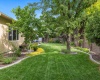 Cherry Blossom Loop, Richland, Washington 99352, 3 Bedrooms Bedrooms, ,2 BathroomsBathrooms,For Sale,Cherry Blossom Loop,285353
