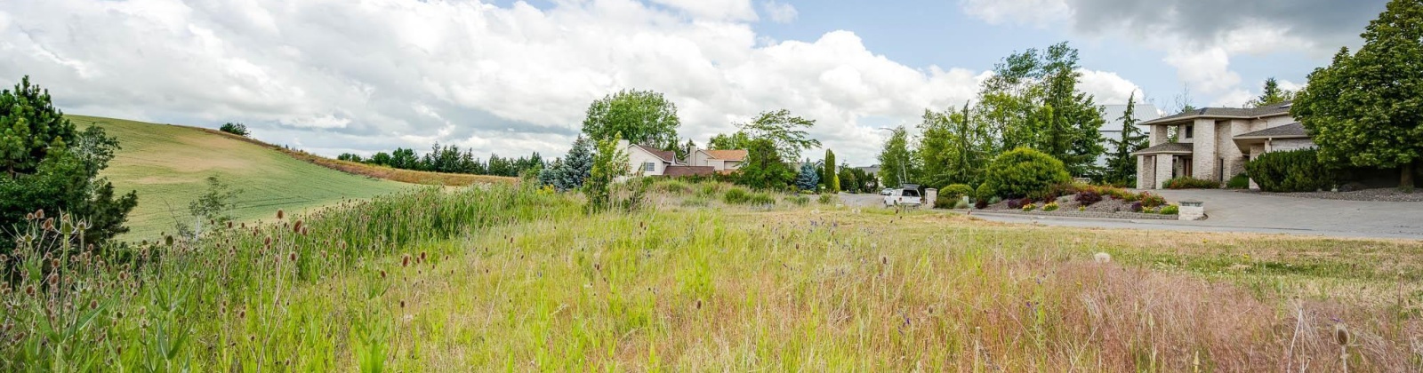 Wadleigh Drive, Pullman, Washington 99163-2049, ,Houses,For Sale,Wadleigh Drive,285370