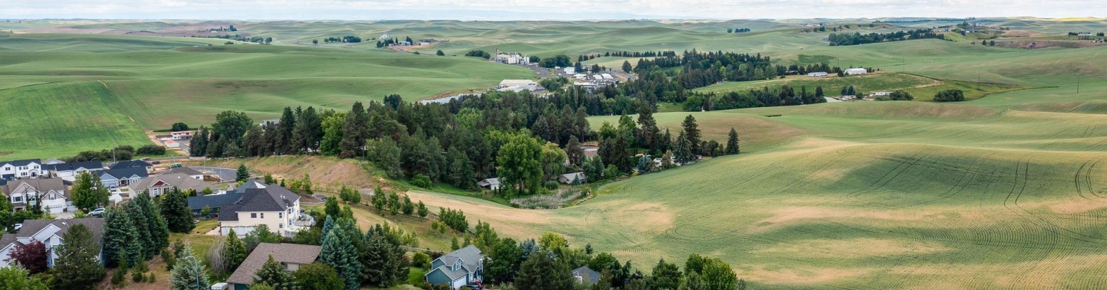 Wadleigh Drive, Pullman, Washington 99163-2049, ,Houses,For Sale,Wadleigh Drive,285370