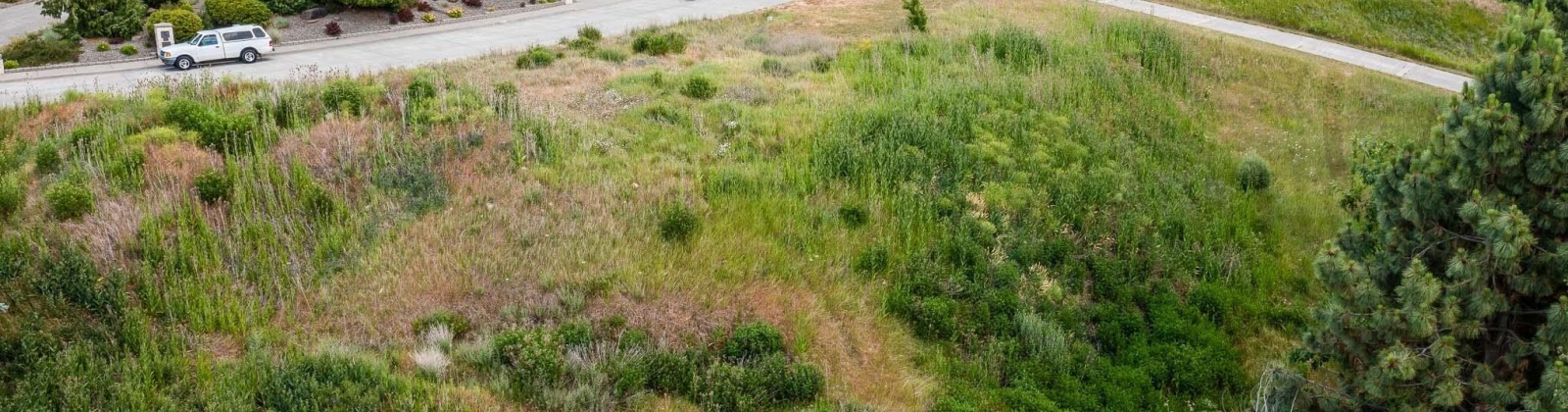 Wadleigh Drive, Pullman, Washington 99163-2049, ,Houses,For Sale,Wadleigh Drive,285370