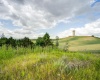 Wadleigh Drive, Pullman, Washington 99163-2049, ,Houses,For Sale,Wadleigh Drive,285370