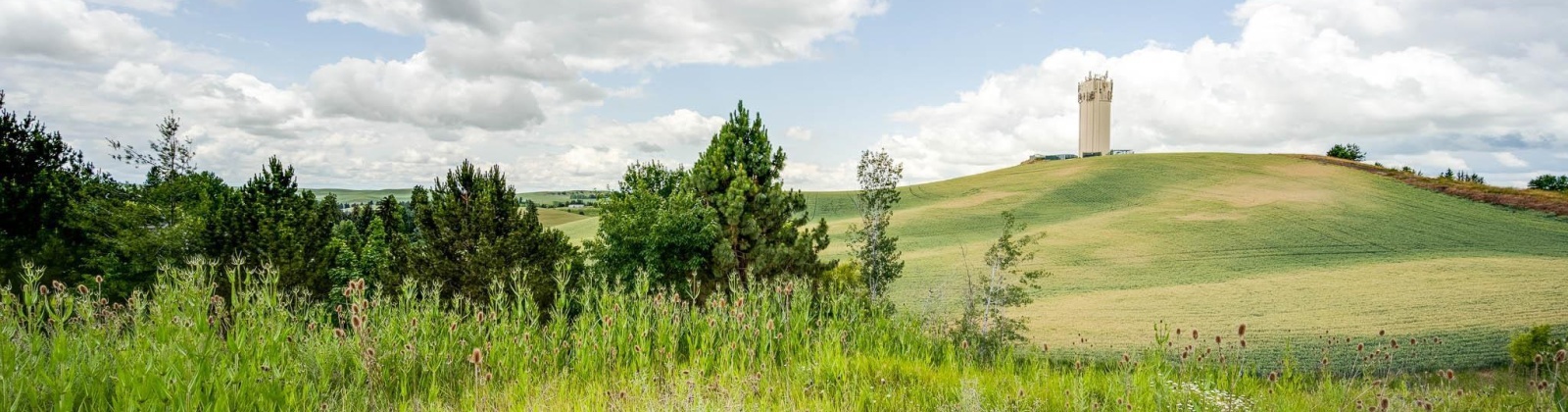 Wadleigh Drive, Pullman, Washington 99163-2049, ,Houses,For Sale,Wadleigh Drive,285370