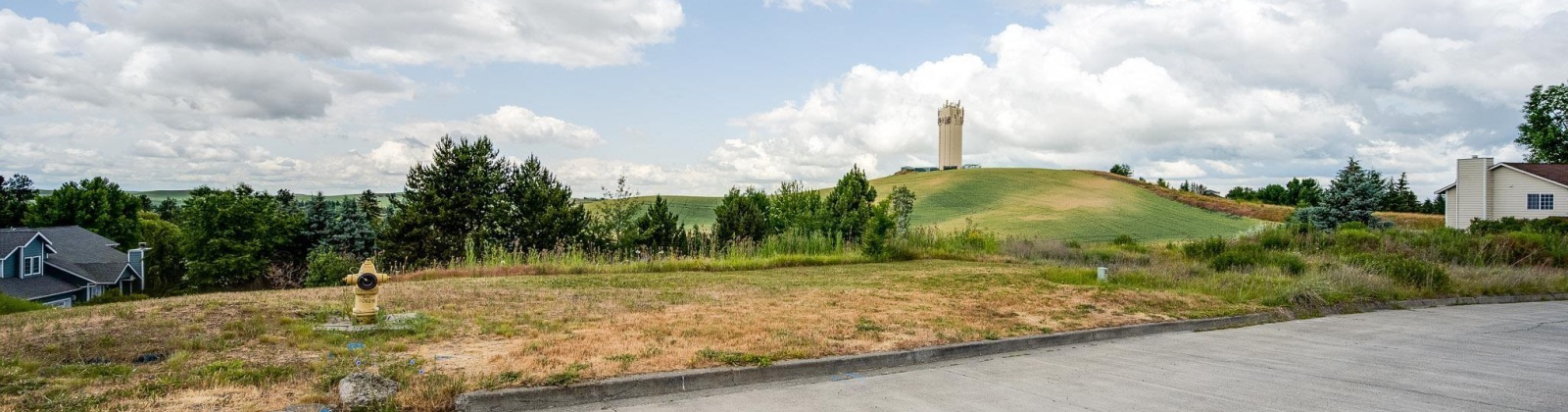 Wadleigh Drive, Pullman, Washington 99163-2049, ,Houses,For Sale,Wadleigh Drive,285370