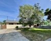 Dover, Richland, Washington 99352, 4 Bedrooms Bedrooms, ,2 BathroomsBathrooms,For Sale,Dover,283462