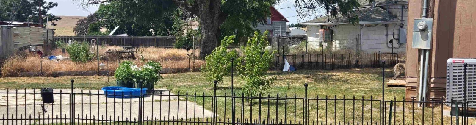 3rd st, La Crosse, Washington 99143, 2 Bedrooms Bedrooms, ,2 BathroomsBathrooms,For Sale,3rd st,285394