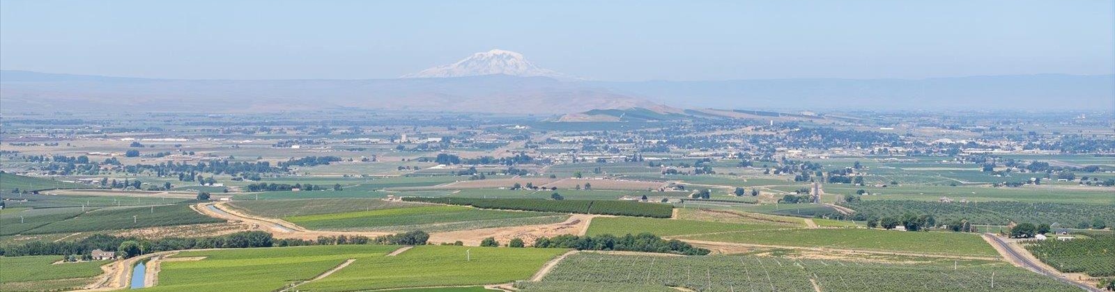 Olsen Road, Grandview, Washington 98930, ,Agricultural Land,For Sale,Olsen Road,285487
