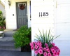 Lost Trail Dr, Pullman, Washington 99163, 3 Bedrooms Bedrooms, ,3 BathroomsBathrooms,For Sale,Lost Trail Dr,285492