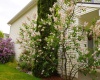 Lost Trail Dr, Pullman, Washington 99163, 3 Bedrooms Bedrooms, ,3 BathroomsBathrooms,For Sale,Lost Trail Dr,285492