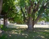 Road 55, Pasco, Washington 99301, 4 Bedrooms Bedrooms, ,3 BathroomsBathrooms,For Sale,Road 55,285491