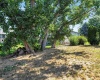 W 16th Ave, Kennewick, Washington 99337, 4 Bedrooms Bedrooms, ,2 BathroomsBathrooms,For Sale,W 16th Ave,285469