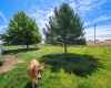 Sunset Meadow Loop, Kennewick, Washington 99338, 4 Bedrooms Bedrooms, ,3 BathroomsBathrooms,For Sale,Sunset Meadow Loop,285497