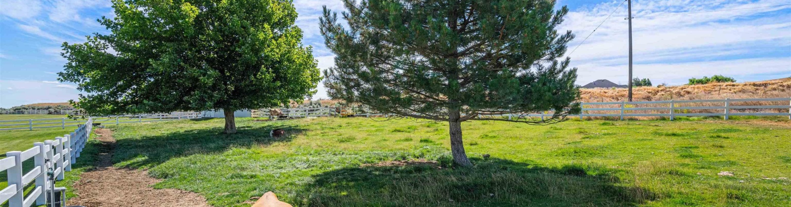 Sunset Meadow Loop, Kennewick, Washington 99338, 4 Bedrooms Bedrooms, ,3 BathroomsBathrooms,For Sale,Sunset Meadow Loop,285497