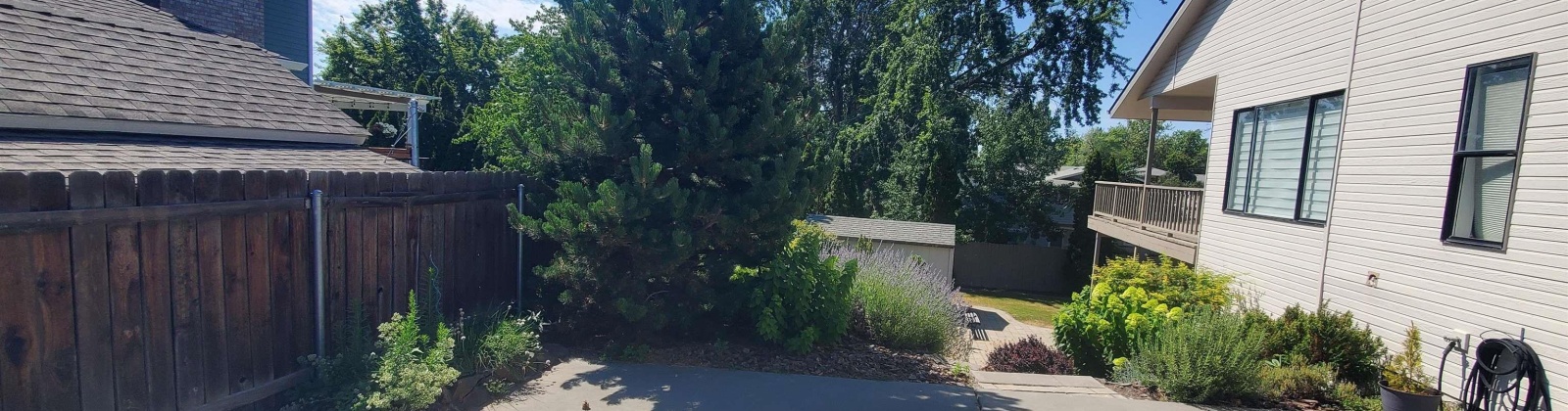 Shaw St, Richland, Washington 99354, 5 Bedrooms Bedrooms, ,3 BathroomsBathrooms,For Rent,Shaw St,285670