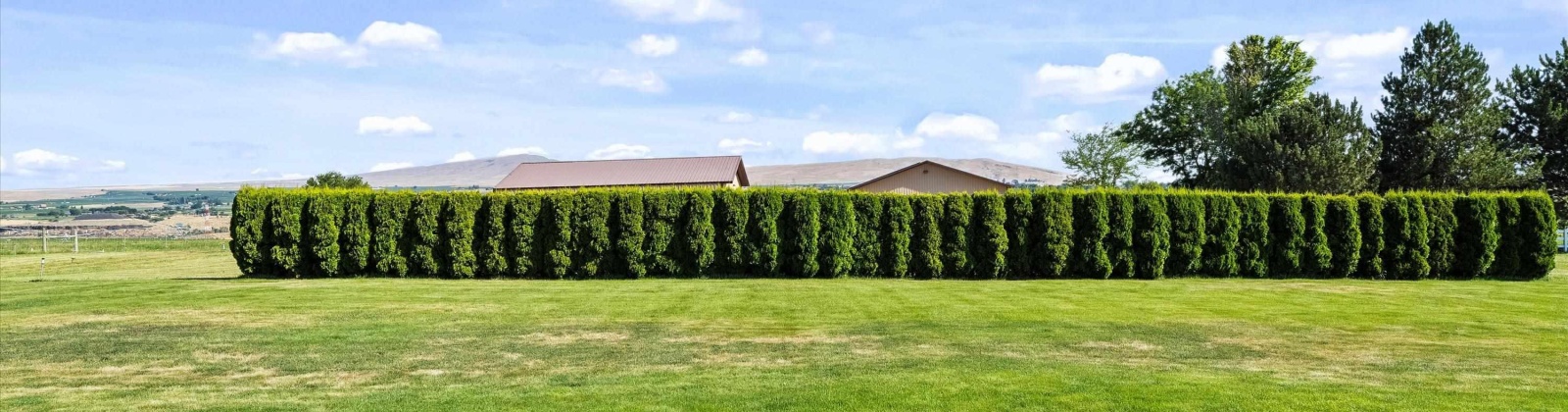 140 PR NW, Benton City, Washington 99320, 3 Bedrooms Bedrooms, ,3 BathroomsBathrooms,For Sale,140 PR NW,285695