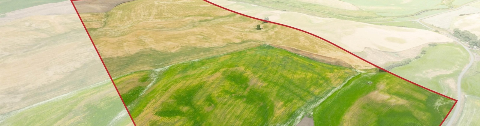 Bongarts, Oakesdale, Washington, ,Agricultural Land,For Sale,Bongarts,285765