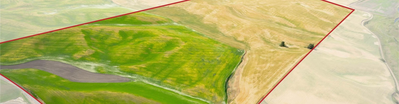Bongarts, Oakesdale, Washington, ,Agricultural Land,For Sale,Bongarts,285765