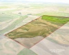 Bongarts, Oakesdale, Washington, ,Agricultural Land,For Sale,Bongarts,285765