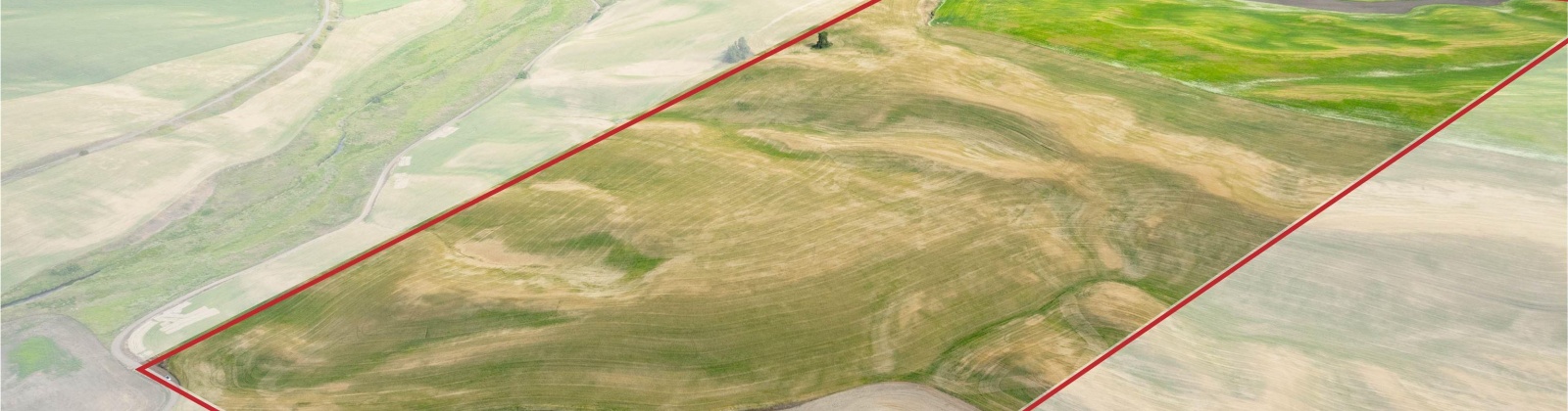 Bongarts, Oakesdale, Washington, ,Agricultural Land,For Sale,Bongarts,285765