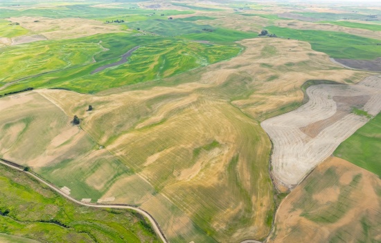 Agricultural Land For Sale